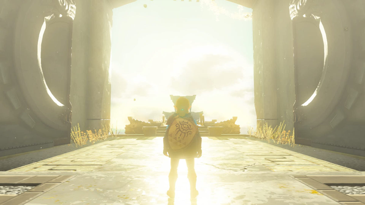 The Legend of Zelda: Tears of The Kingdom G8266