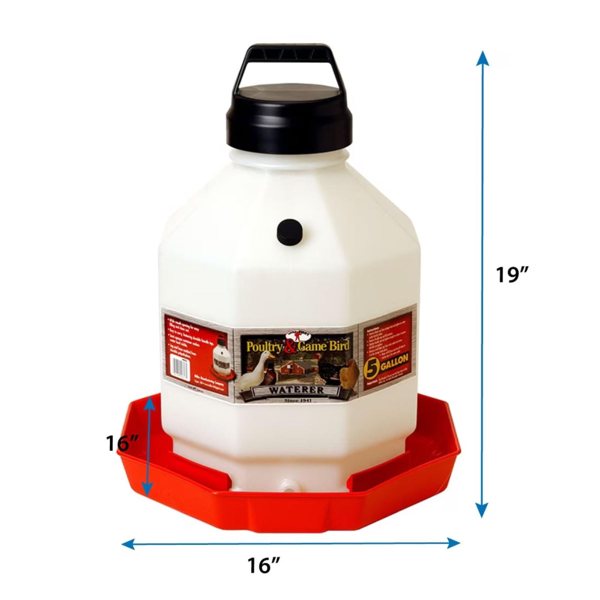 5 Gallon Translucent Plastic Poultry Waterer C772775