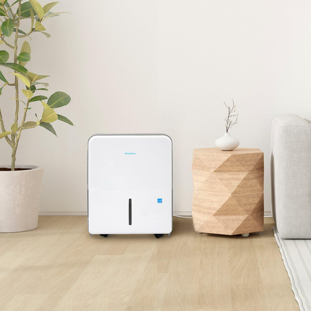50 Pint Dehumidifier with Pump I848819
