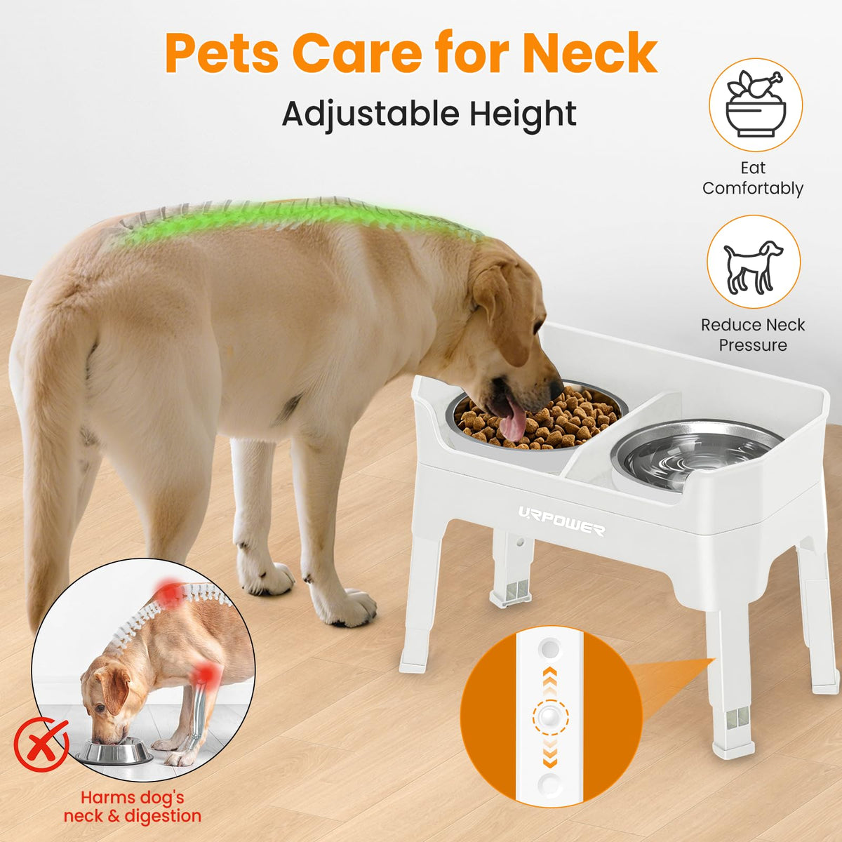 Elevated Dog Bowls W4744