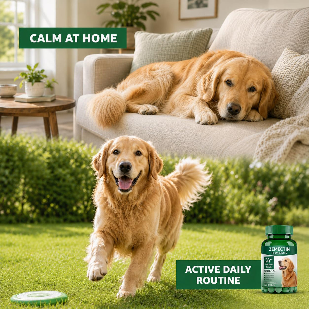 Dewormer for Dogs V638