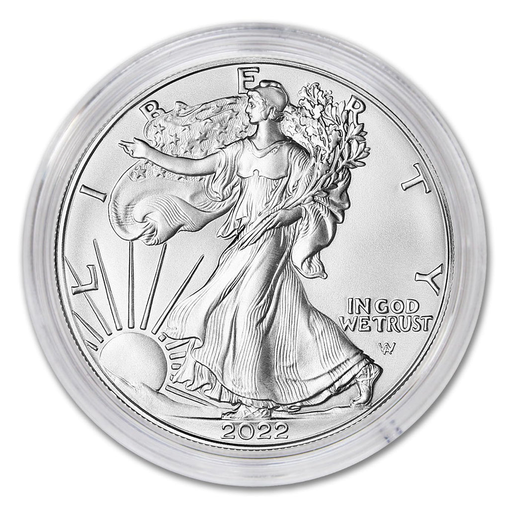 1 oz American Silver Eagle Coin W82255