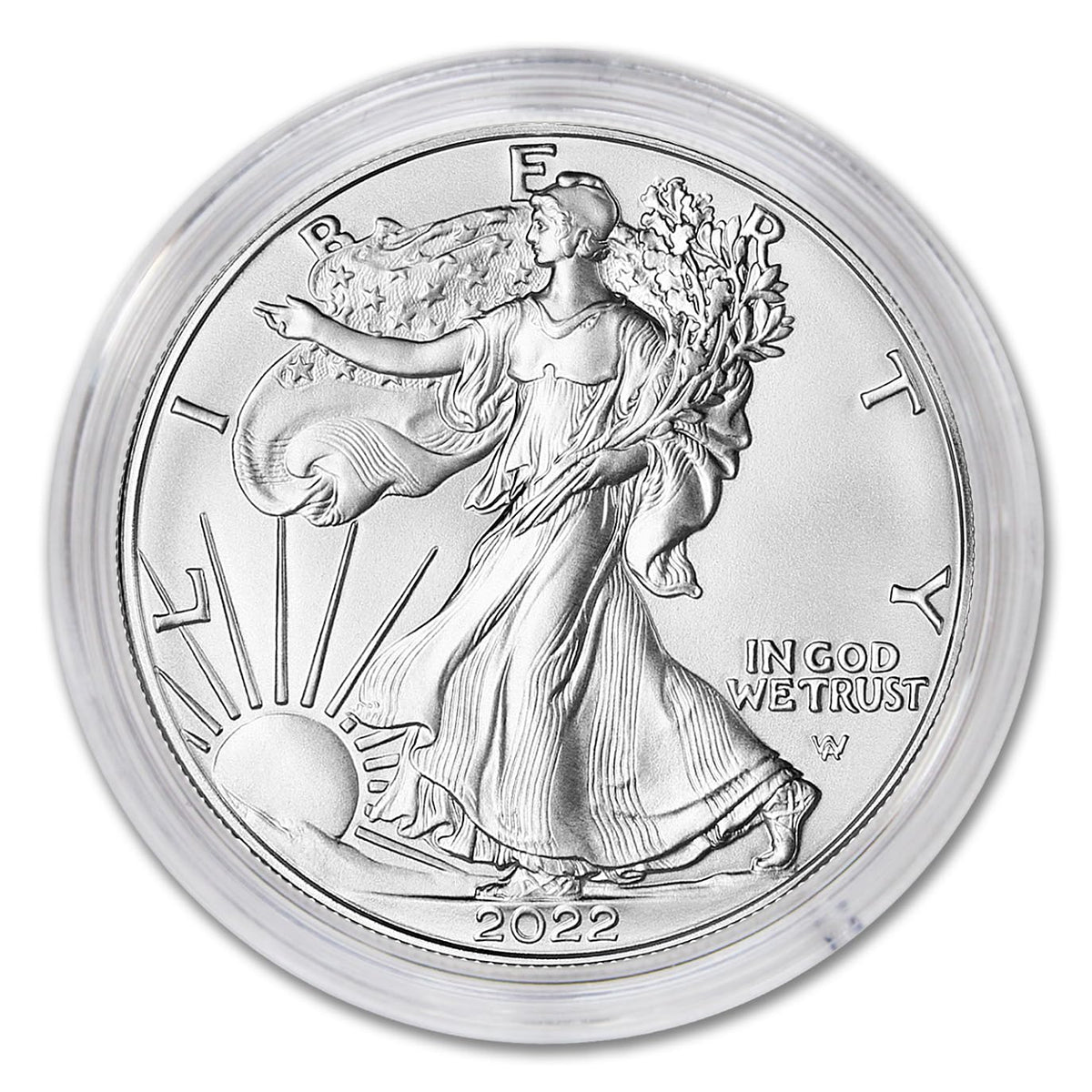 1 oz American Silver Eagle Coin W82255