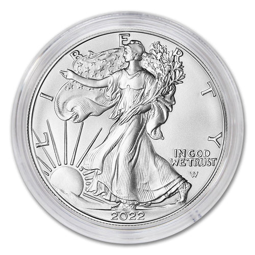 1 oz American Silver Eagle Coin W82255