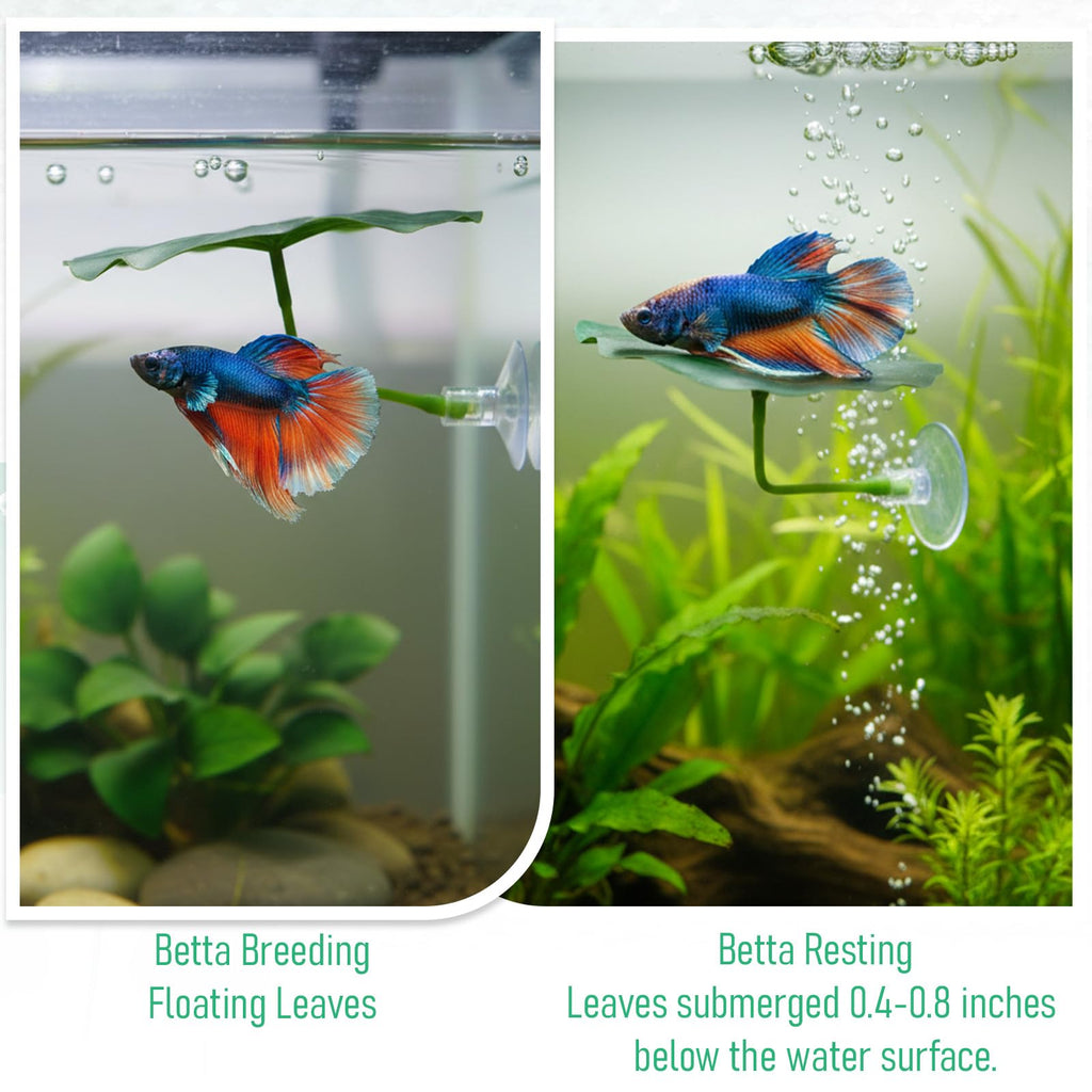 Betta Fish Leaf Hammock Suction Cup Aquarium Decor G9021