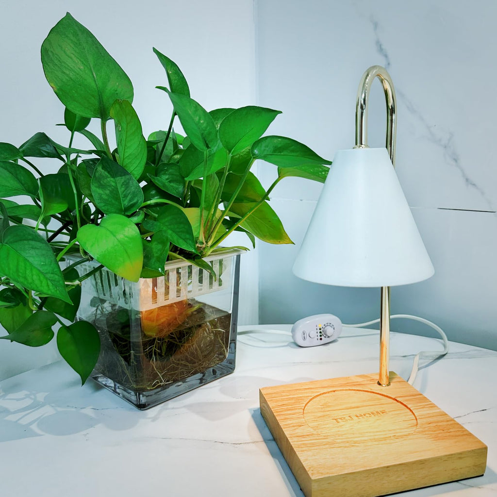 Electric Candle Warmer Lamp with 2 Bulbs, Adjustable Height, Timer, Gold Z51942