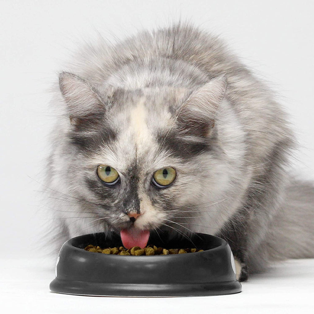 Grain Free Dry Cat Food Whitefish Kibble 2lb Bag Y45759
