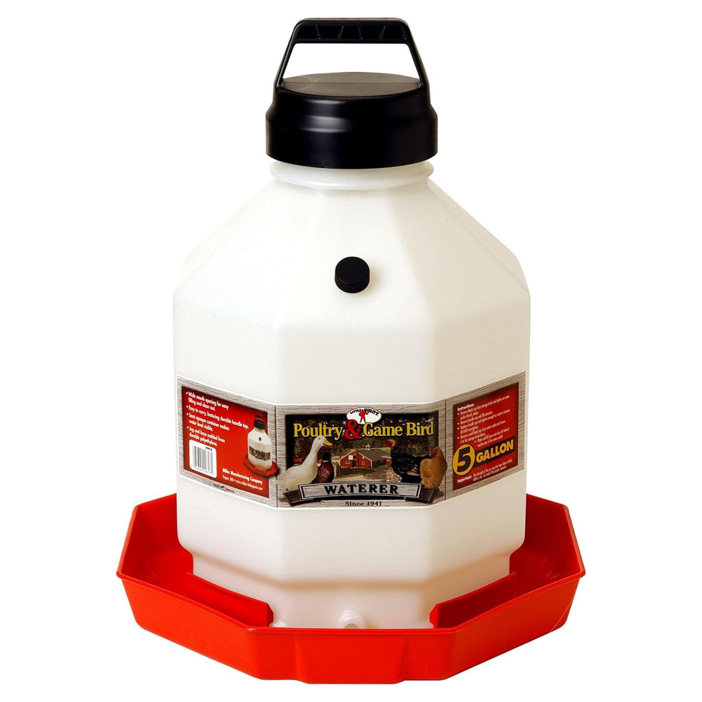 5 Gallon Translucent Plastic Poultry Waterer C772775
