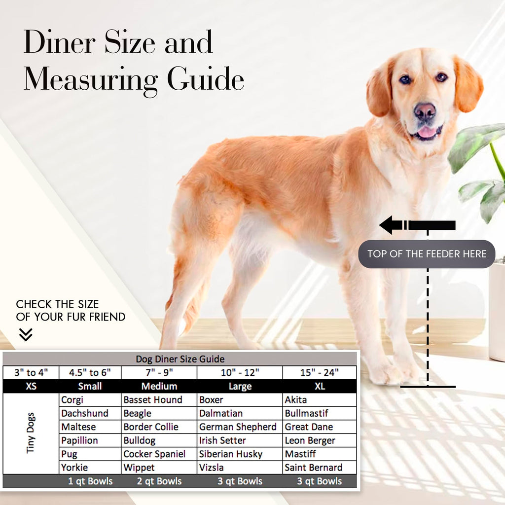 Black Triple Bowl Dog and Cat Feeder Stand with 3-2 Qt Stainless Bowls P557