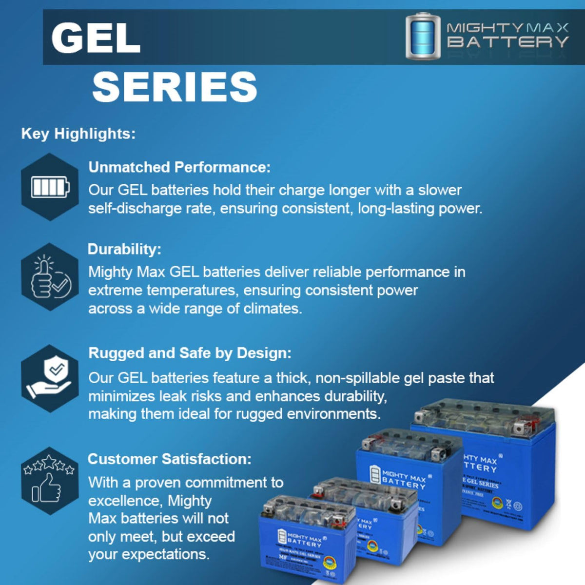 12V 11.2Ah GEL Battery P6189
