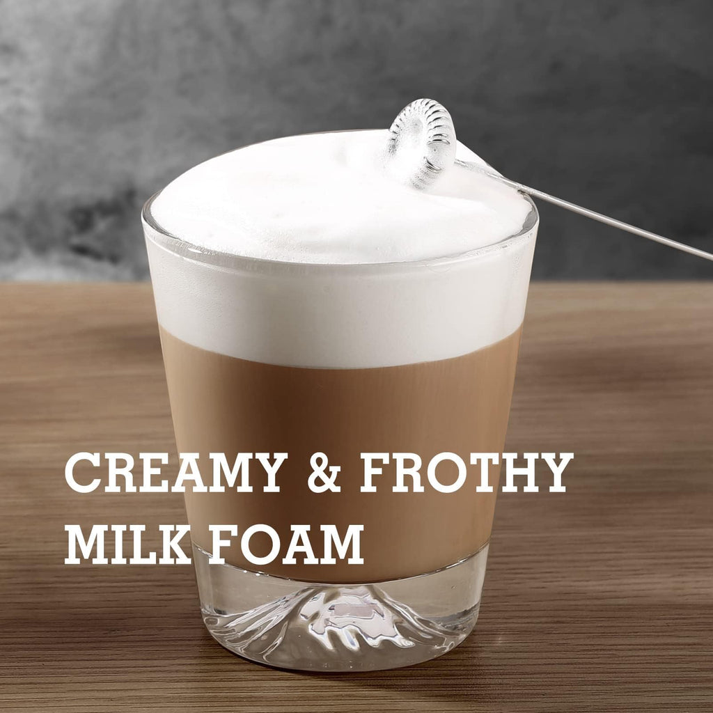 Handheld Electric Milk Frother Z831