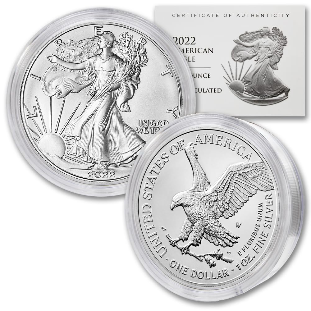 1 oz American Silver Eagle Coin W82255