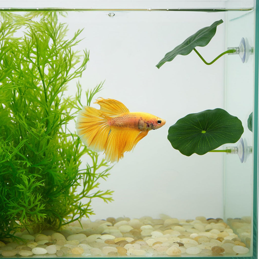 Betta Fish Leaf Hammock Suction Cup Aquarium Decor G9021