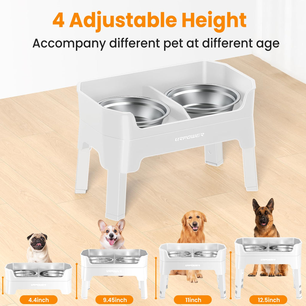 Elevated Dog Bowls W4744