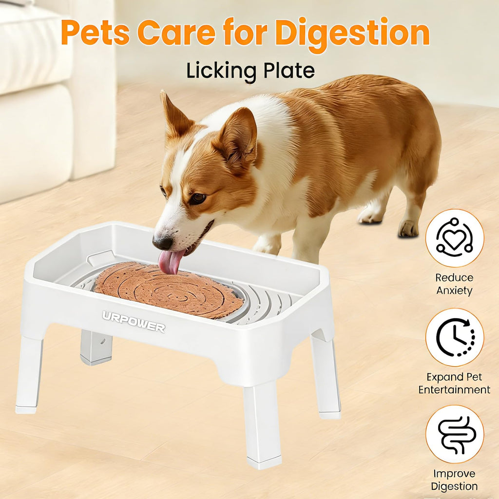 Elevated Dog Bowls W4744