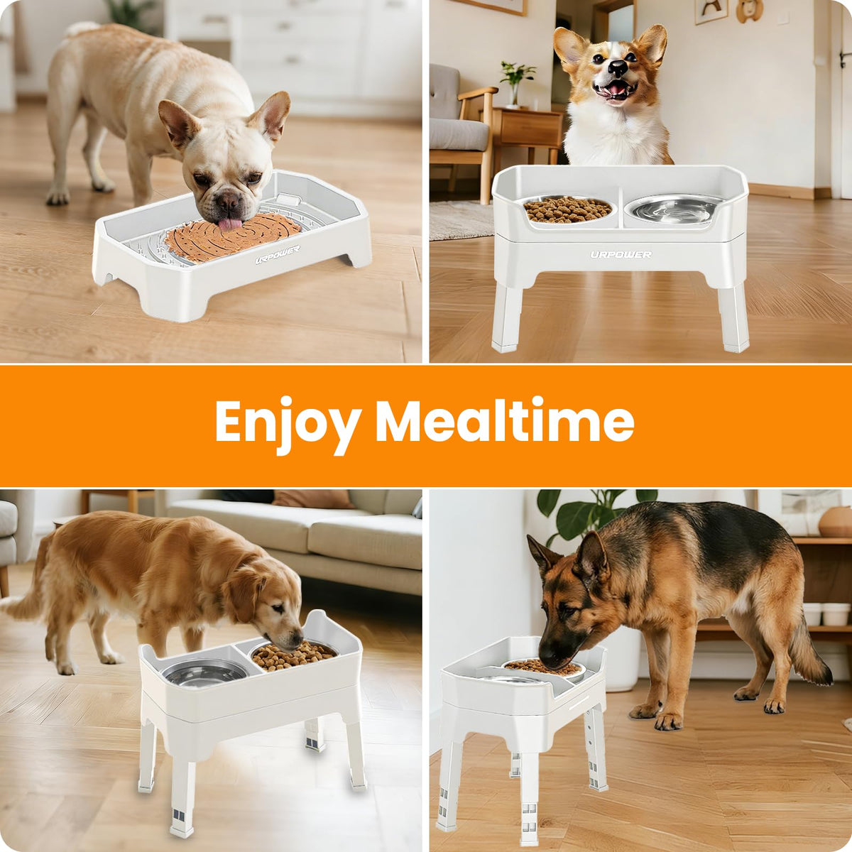 Elevated Dog Bowls W4744