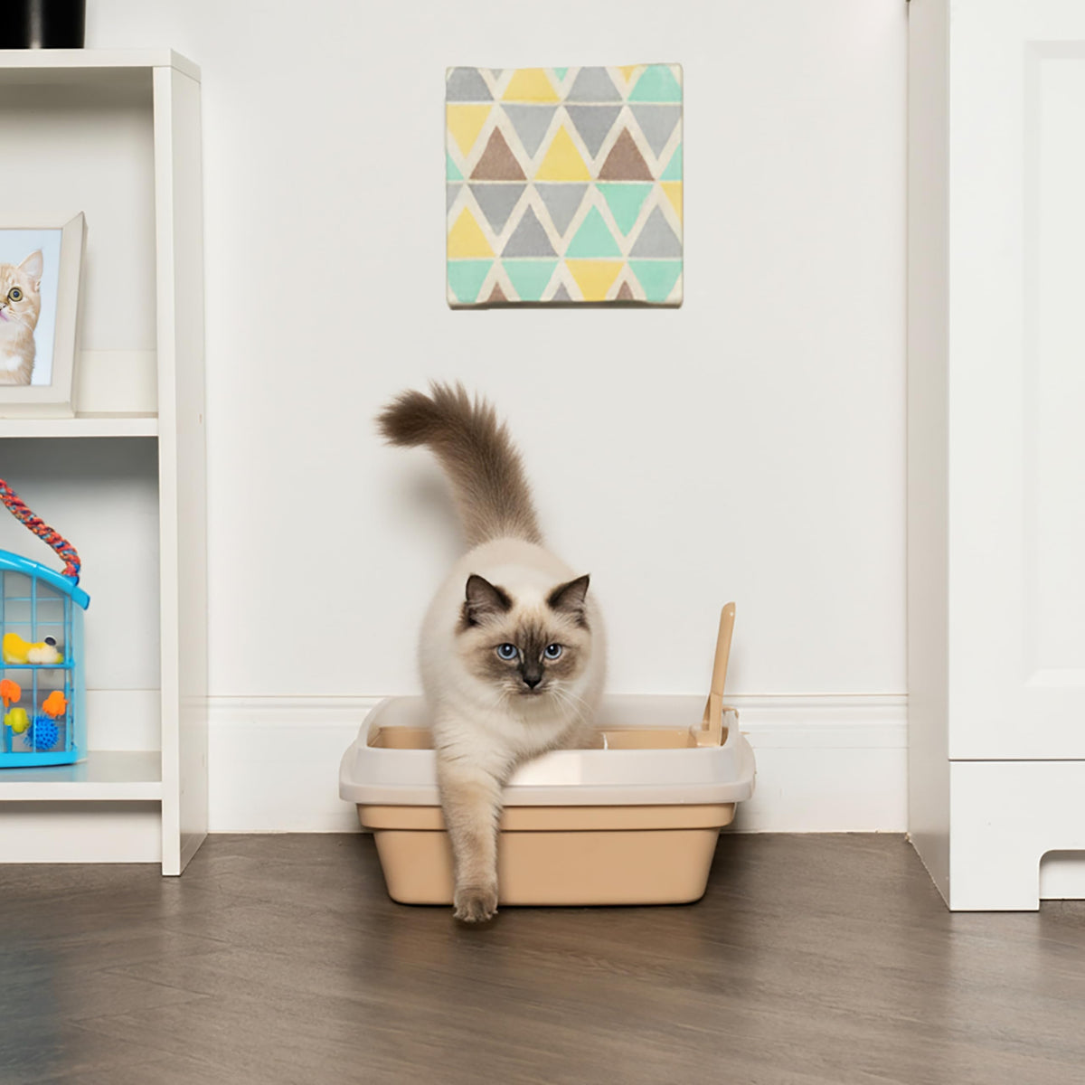 Large Cat Litter Box K65137