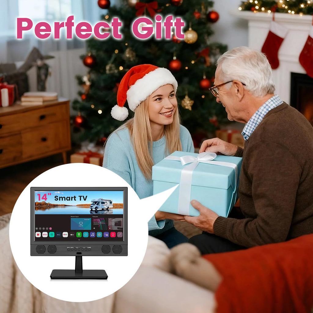 14 Inch HD LED Smart TV C30160