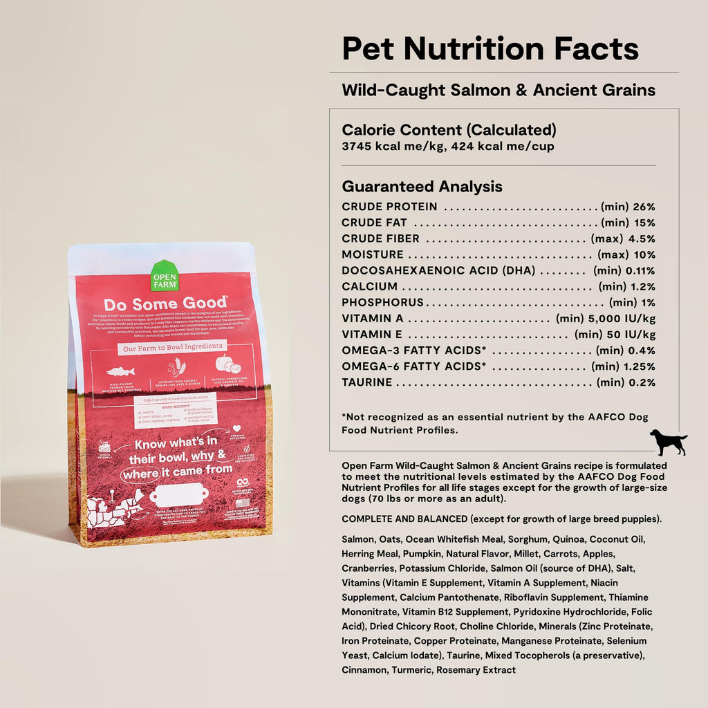 Dry Dog Food 22lb Bag I55538