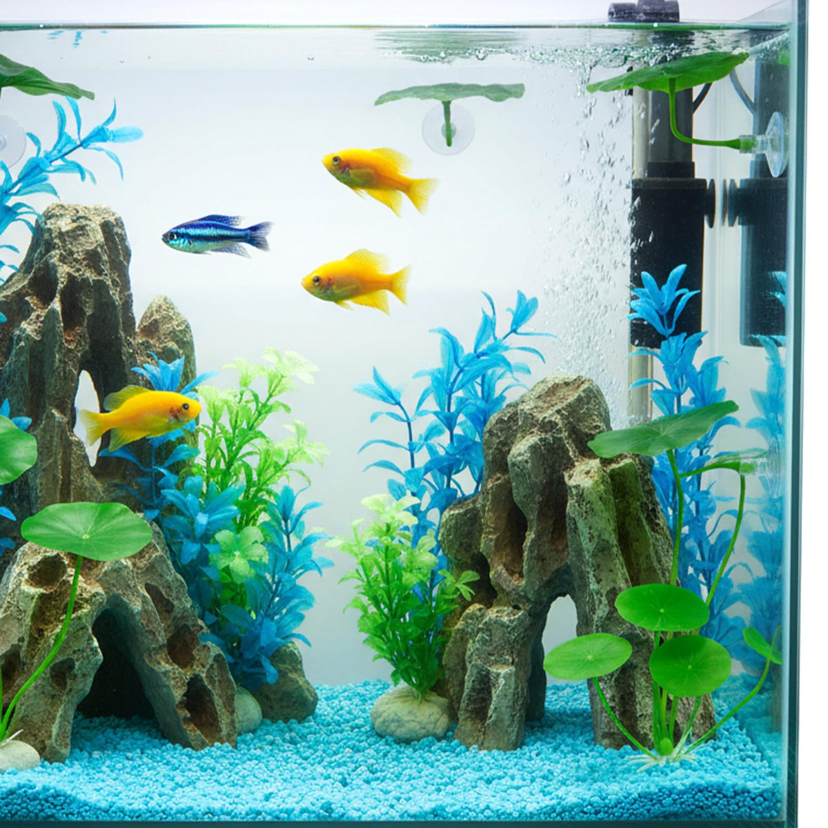 Betta Fish Leaf Hammock Suction Cup Aquarium Decor G9021
