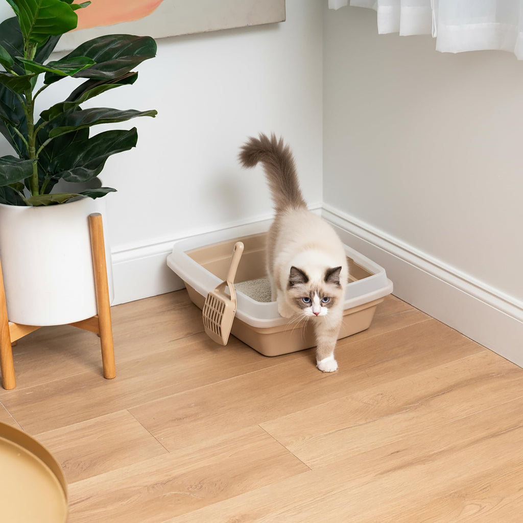 Large Cat Litter Box K65137
