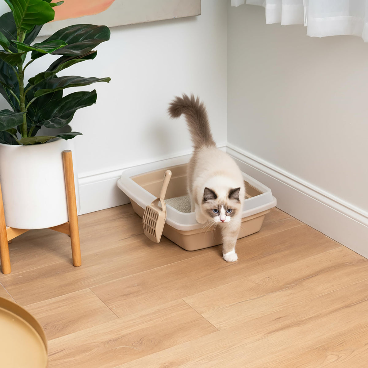 Large Cat Litter Box K65137