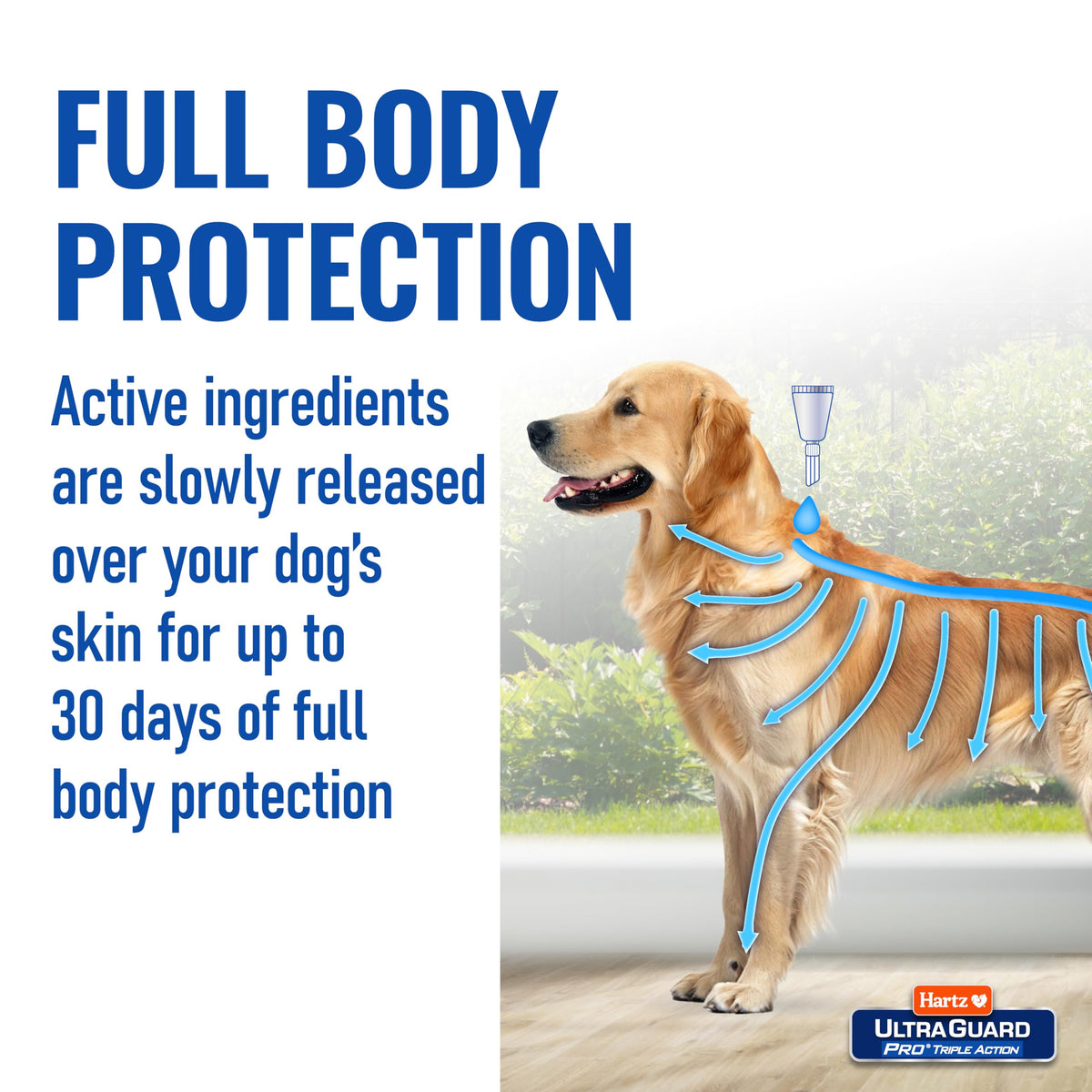 Flea & Tick Topical Dogs & Puppies Treatment, 6 Months, 61-150 lbs Q883