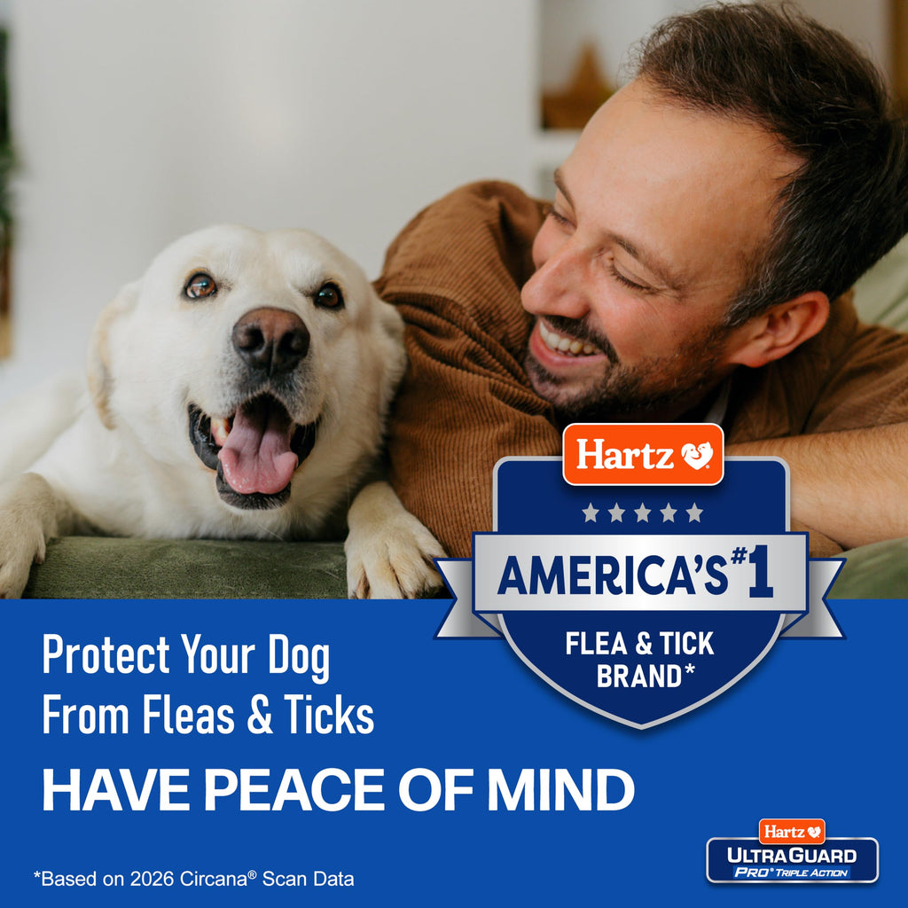 Flea & Tick Topical Dogs & Puppies Treatment, 6 Months, 61-150 lbs Q883