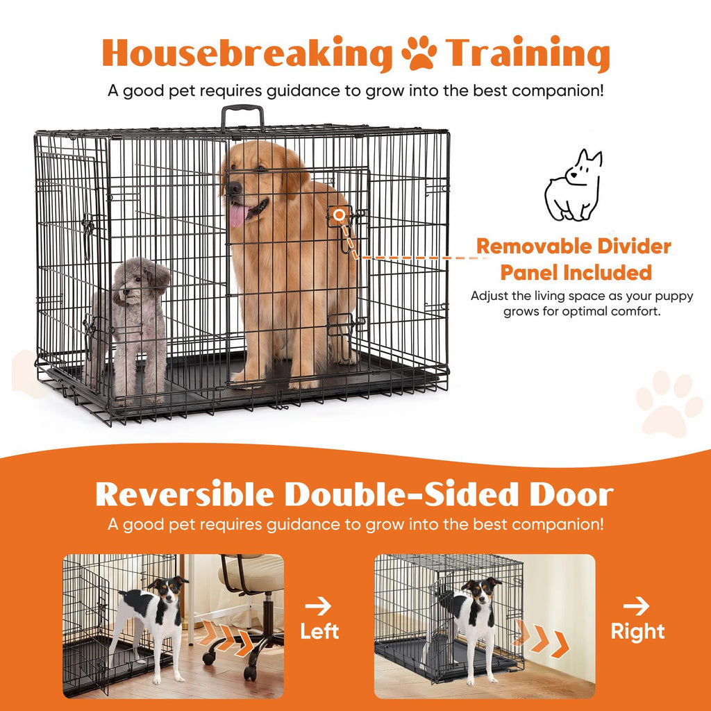 36 Inch Foldable Dog Crate B390