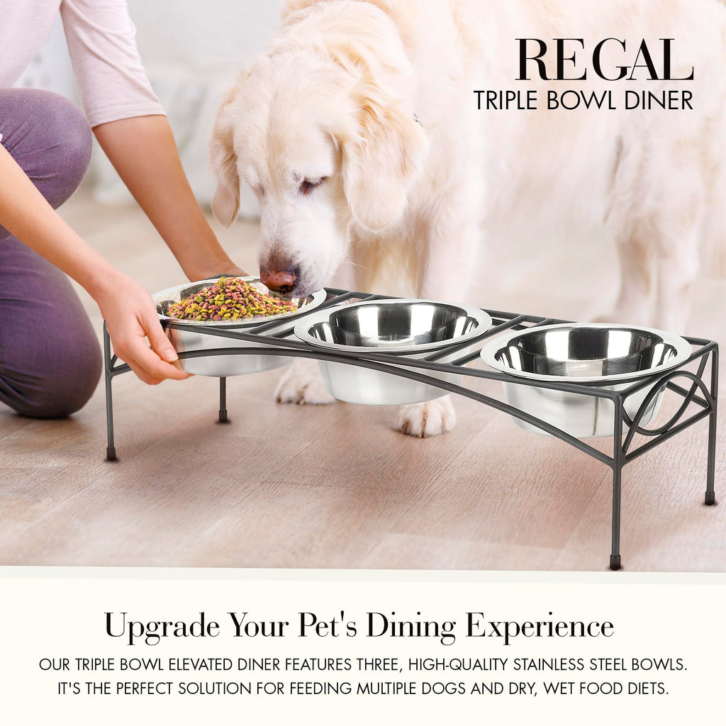 Black Triple Bowl Dog and Cat Feeder Stand with 3-2 Qt Stainless Bowls P557