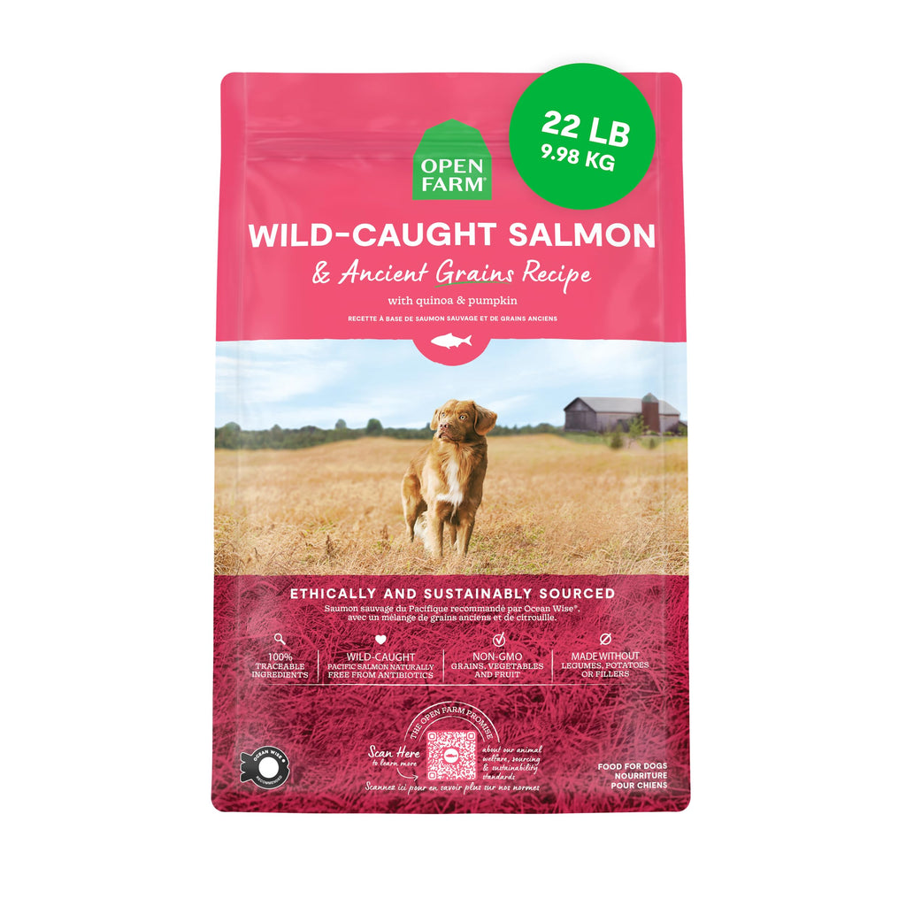 Dry Dog Food 22lb Bag I55538