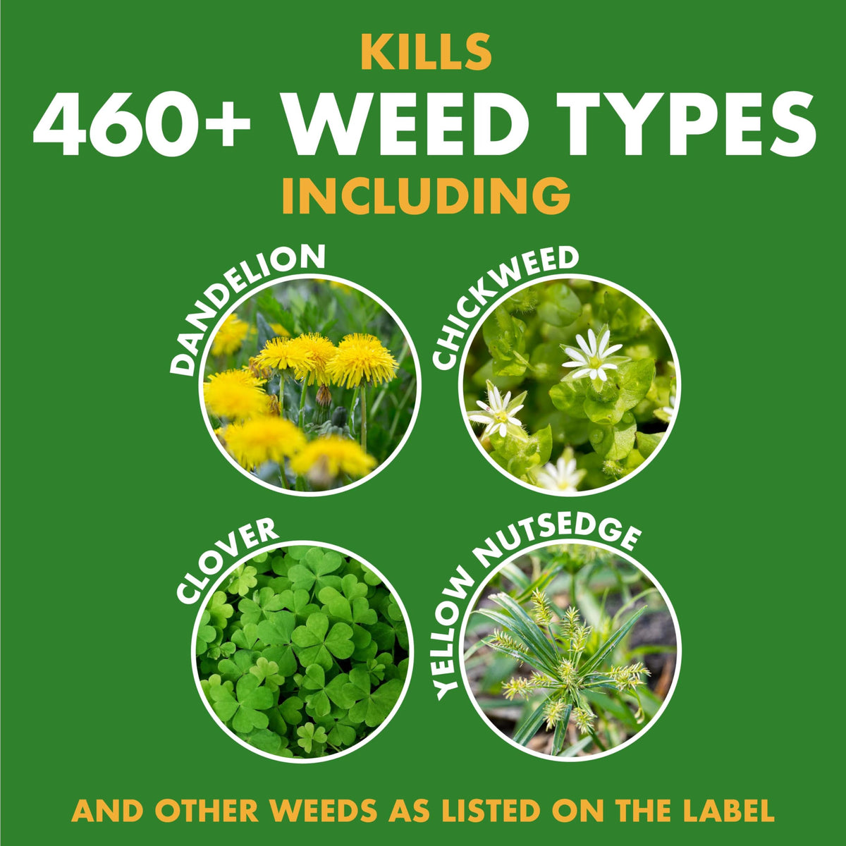 Weed Stop for Lawns Concentrate 32 Oz O5228