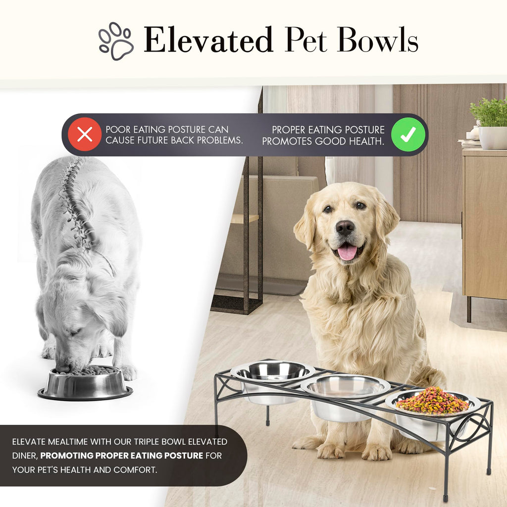 Black Triple Bowl Dog and Cat Feeder Stand with 3-2 Qt Stainless Bowls P557
