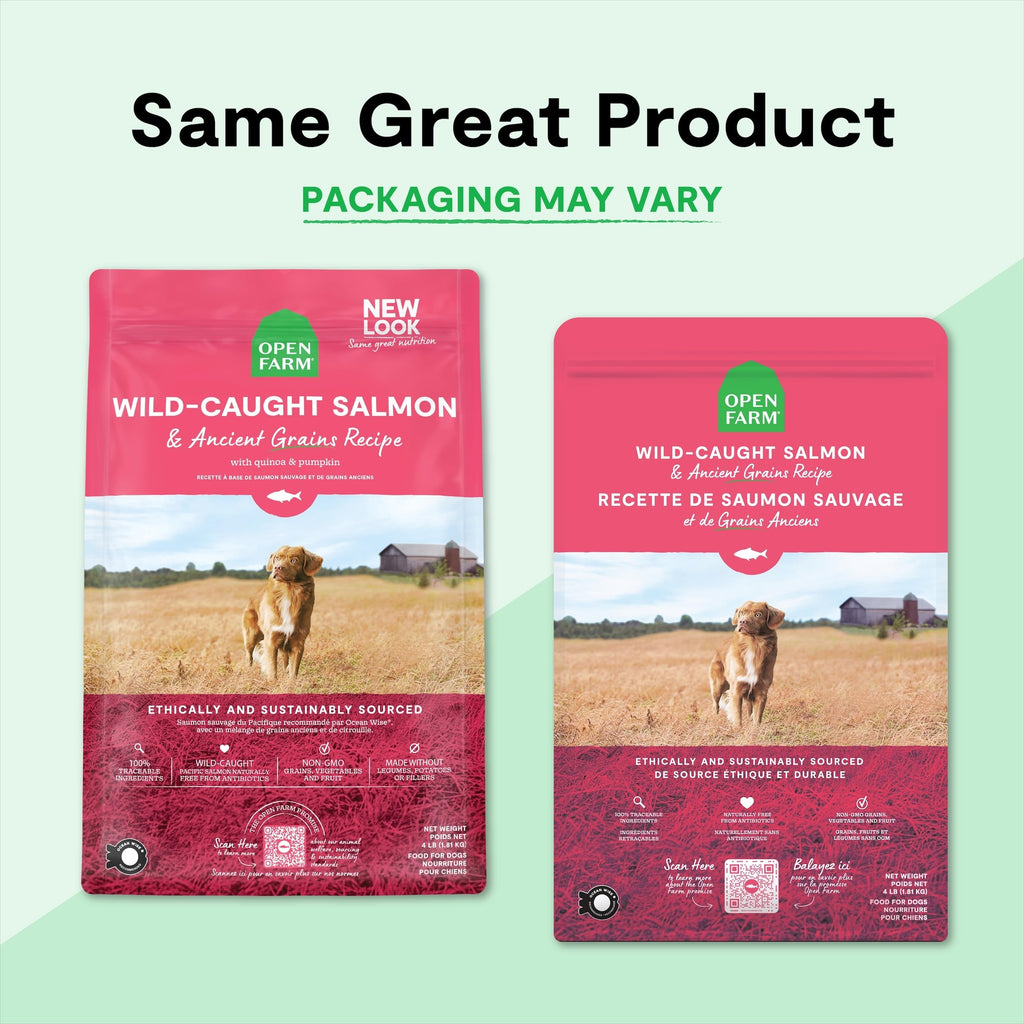Dry Dog Food 22lb Bag I55538