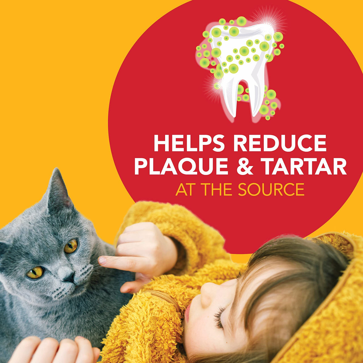 Cat Toothbrush and Toothpaste Kit Malt Flavor 2.5oz S668