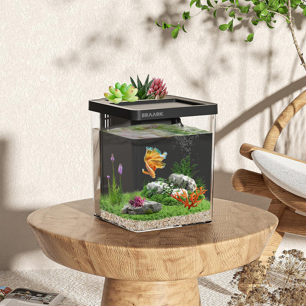 1.5 Gallon Betta Fish Tank Aquarium Kit with Filter LED Light G35900