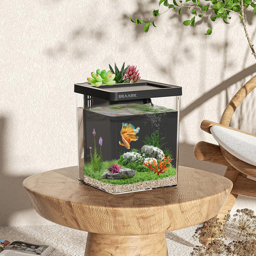 1.5 Gallon Betta Fish Tank Aquarium Kit with Filter LED Light G35900