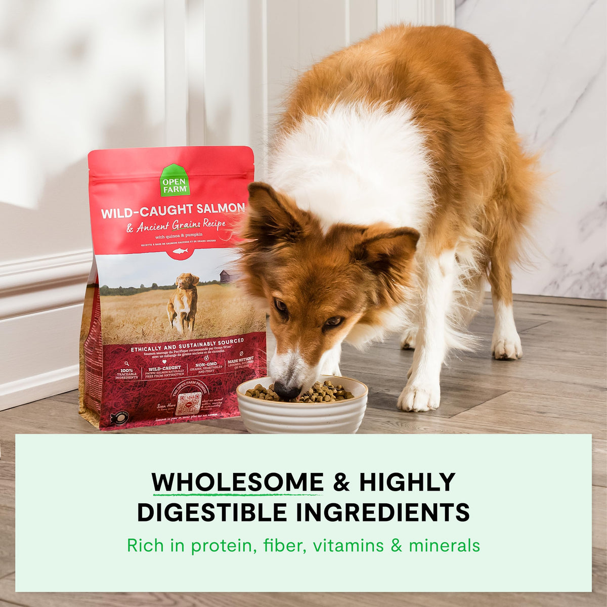 Dry Dog Food 22lb Bag I55538